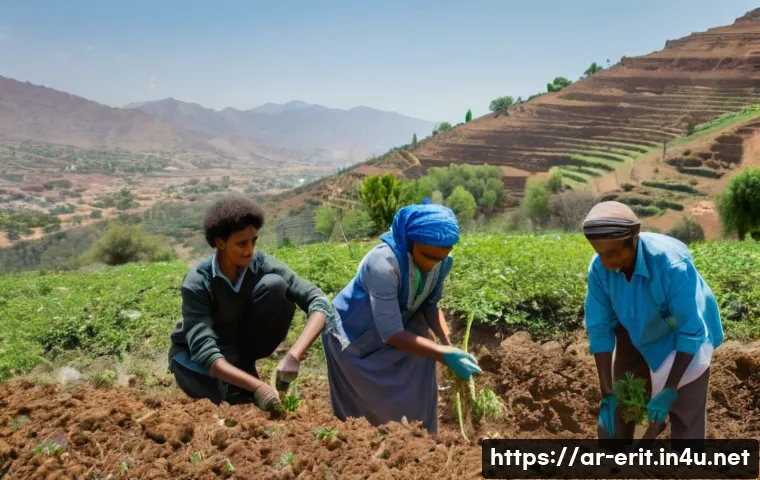 에리트레아에서의 봉사 활동 관련 이미지 2