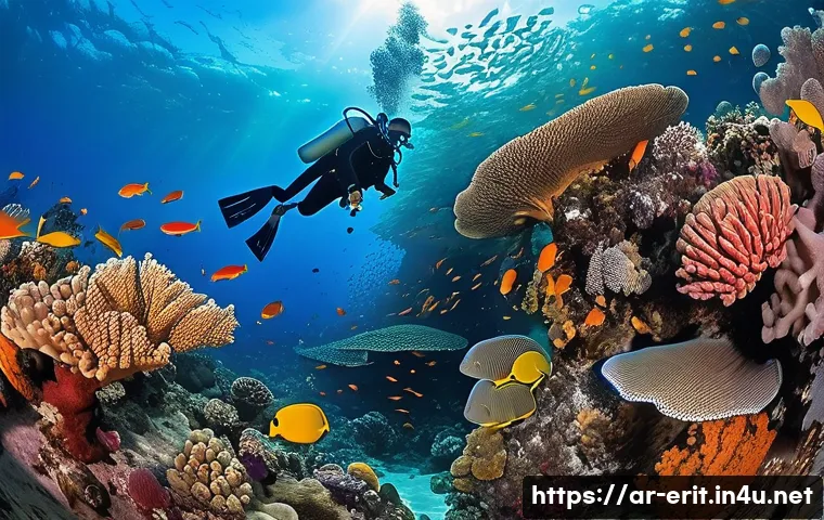 에리트레아의 다이빙 스팟 - A vibrant underwater scene off the coast of Eritrea near Asseb beaches, featuring crystal-clear warm...